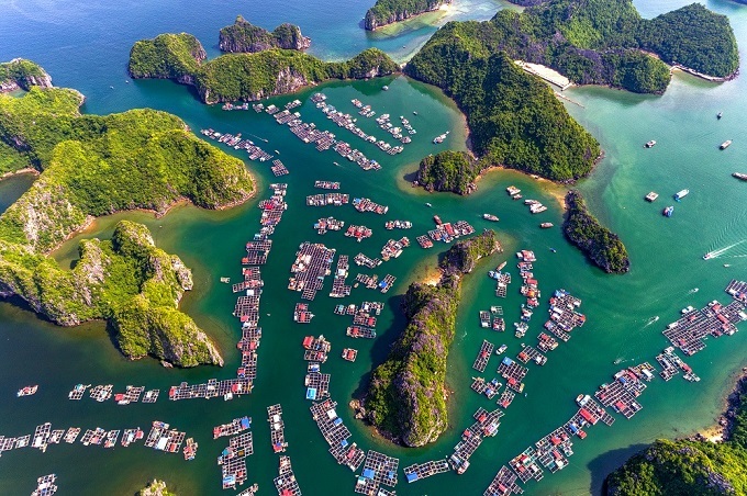 Cai Beo Floating village - Cat Ba island